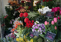 FLOWER SHOP 光ガーデン