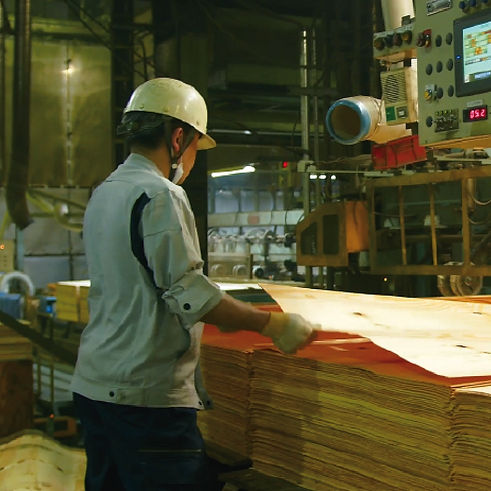 工場内での作業の様子