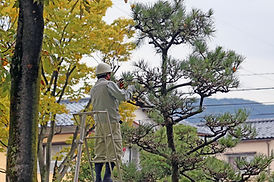 資格に裏打ちされた確かな技術