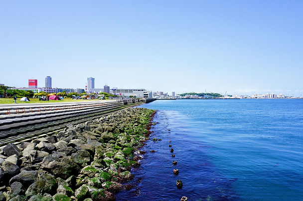 横須賀うみかぜ公園の親水護岸