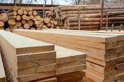 Timber & Lumber.webp