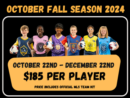 Get Ready for the LASE MLS GO League:  Fall Soccer Fun Begins October 2024!