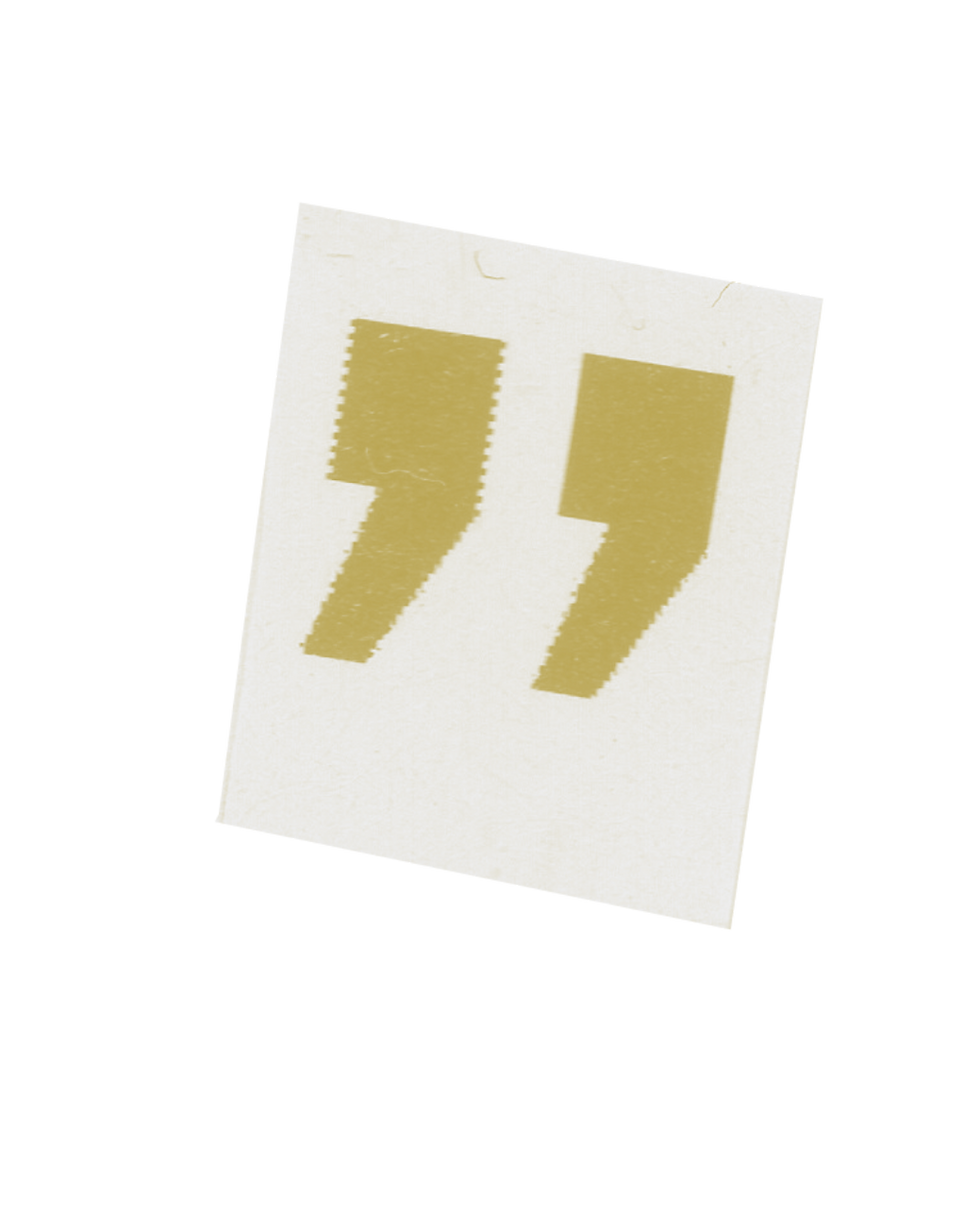 Guide d'utilisation de l'identité visuelle.png