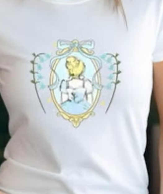 Cinderella mirror reflection