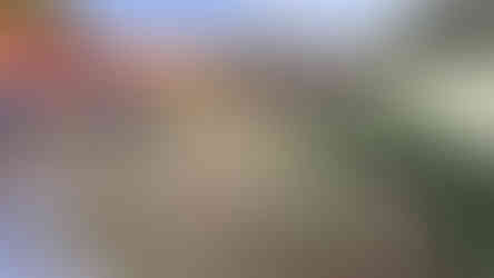 Just Started - Infinity Edge Pool in Korat