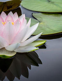 jay-castor-7AcMUSYRZpU-unsplash (1).jpg