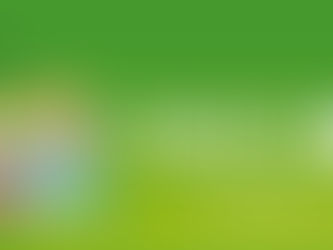 Tokopedia VS Bukalapak, Kelebihan dan Kekurangannya