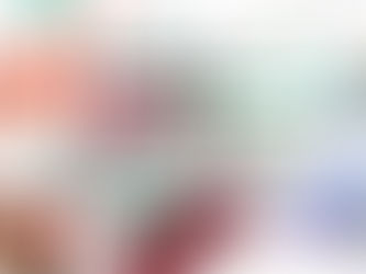 Daftar Toko Online Termurah dan Terbaik di Indonesia