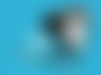 Twitter Akan menghapus Akun Yang tidak Aktif Mulai 11 Desember