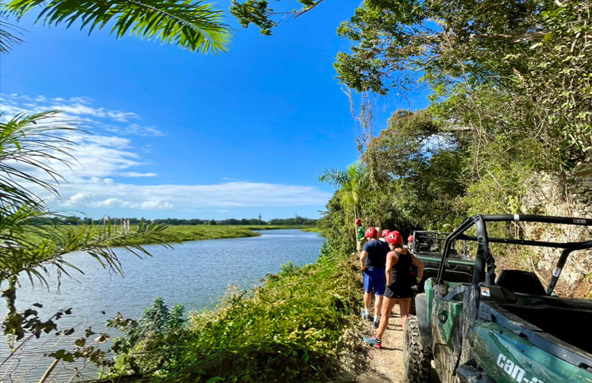 Nice Lagoon PalmsH copy.jpg