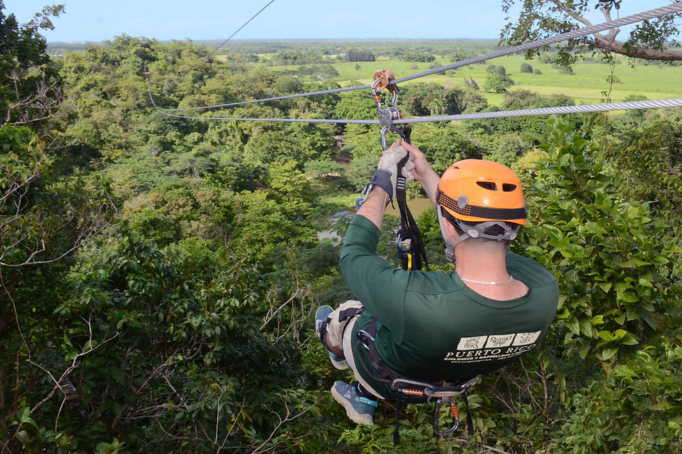 Enjoy alluring views of the subtropical forest.