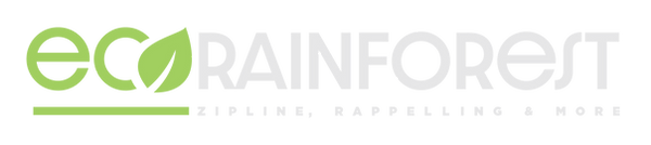 ECORAINFOREST LOGO Rainlight copy.png
