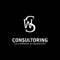 LOGO WS CONSULTORING.png