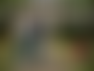 Couple planning landscape renovation in front yard