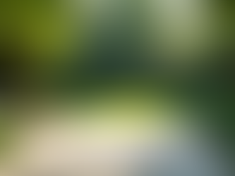 Enhance Your Outdoor Space with Enhanced Landscaping Services