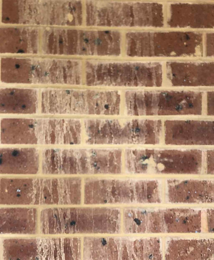 Bricks during construction build
