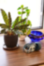 Silver headphones on a wooden table with potted plants and a blue bowl