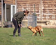 Woman bending to interact with a dog outdoors