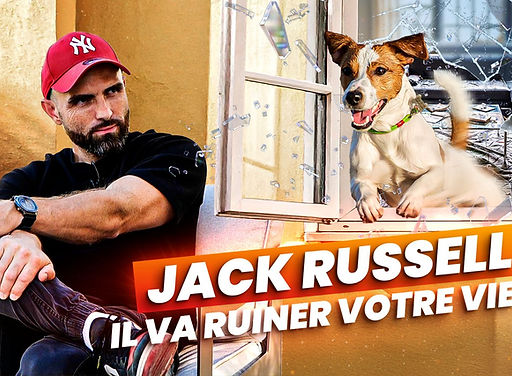 MuxHqoniX35m (1).jpeg