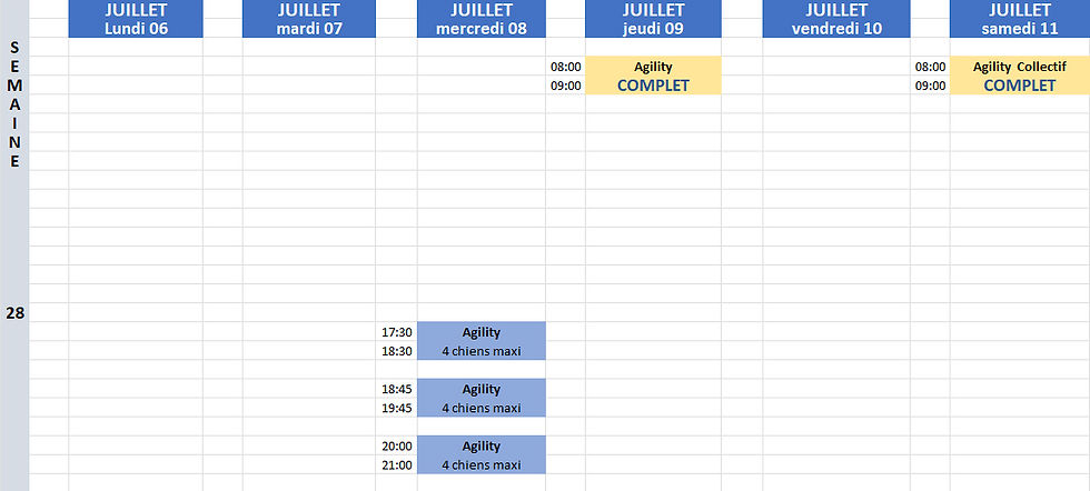Planning semaine 28.jpg