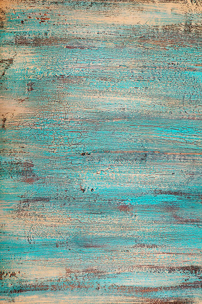 WEB SITE BACKGROUND.jpg