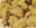 Fried Alligator
