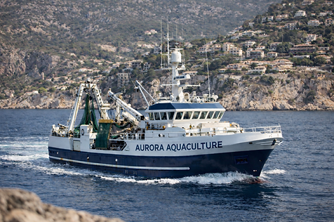 Aurora Aquaculture off the Mediterranean coast.png