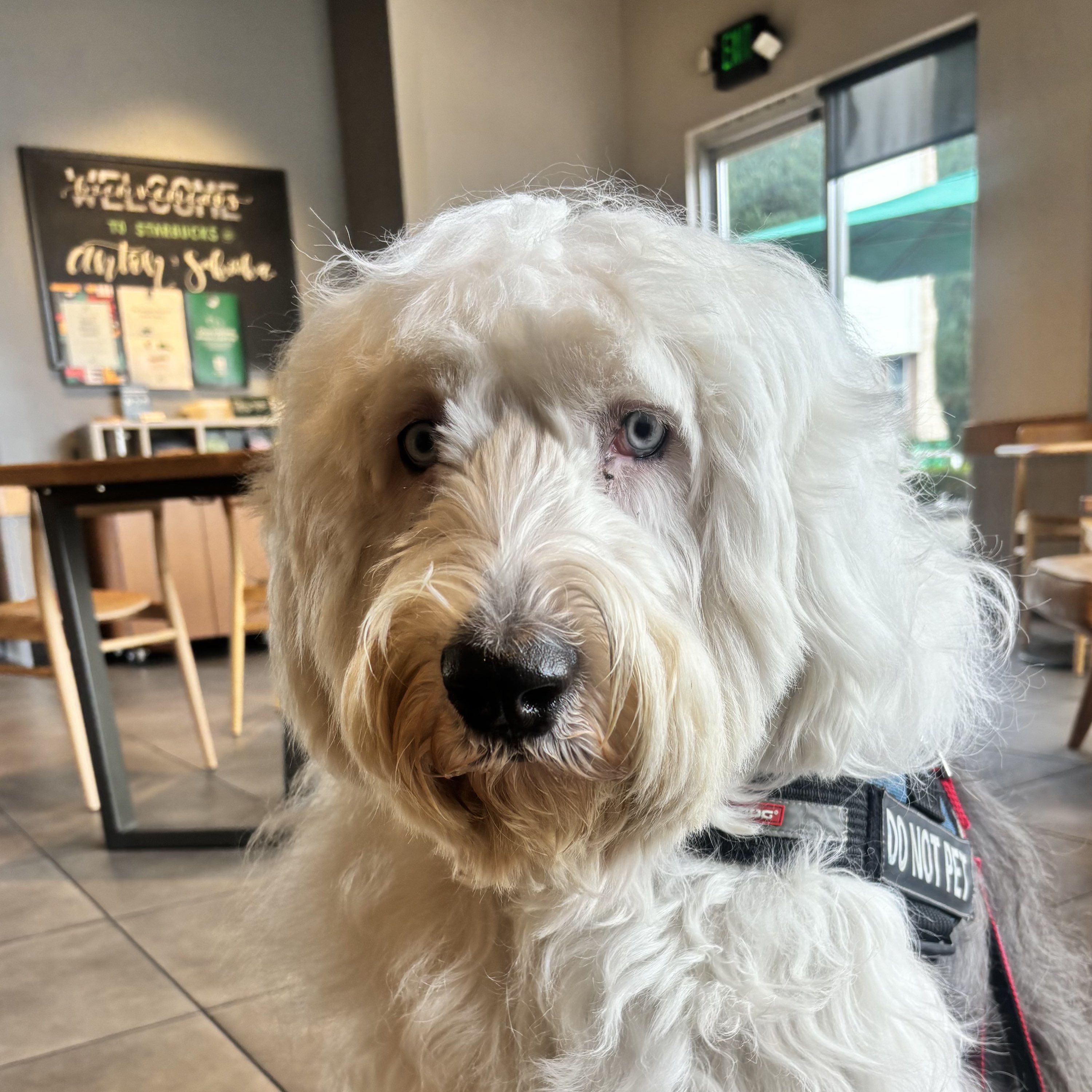 Writer: TribeLife HQ