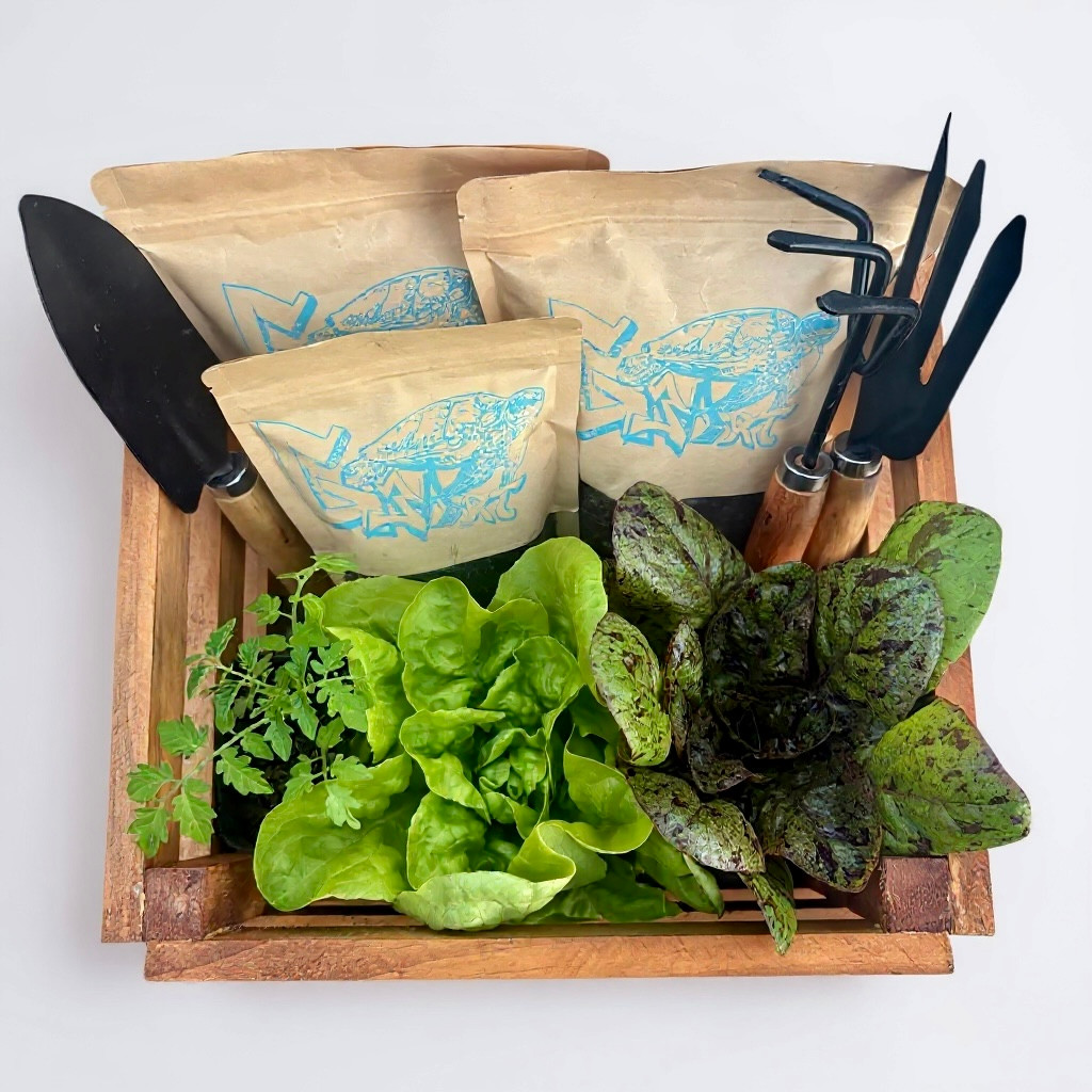 BOX PLANTÍN