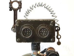 Blokebots, Biddybots, Buddybots & Puddybots.