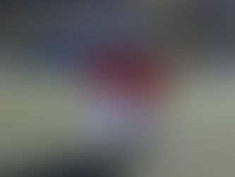 Zuidvogels aspiranten gaan internationaal!