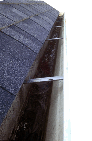 Clogged Gutter