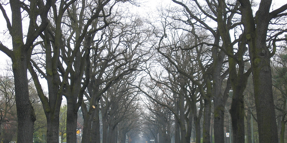 6 Week One/One Coaching Session: Find a Clear Path for Self Care & Your Career