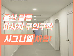 달동 스웨디시 시그니엘 울산 마사지 구인구직에서 즐겁게 일해보세요.