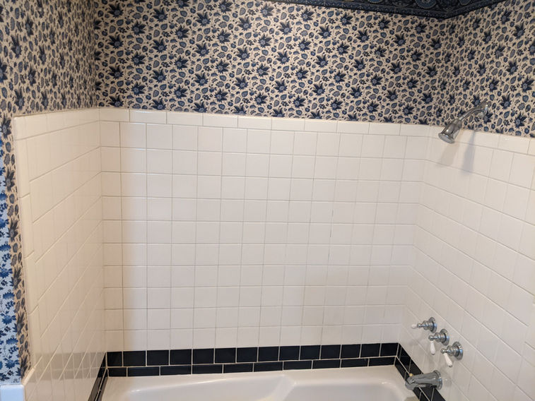 Before - Bathroom Remodel