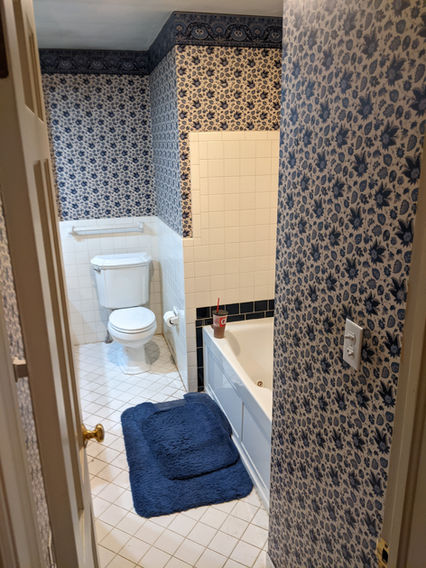 Before - Bathroom Remodel