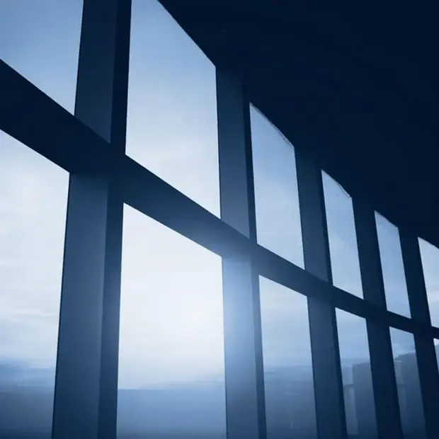 Optivision