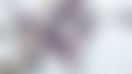 Best Winter Wines for the Cold Soul