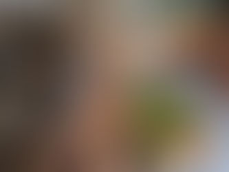 Marché et crèches de Noël                   6 et 7 décembre 2025