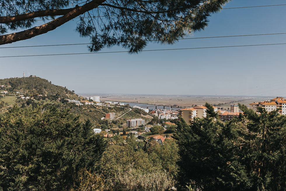 Views from Quinta do Coração venue