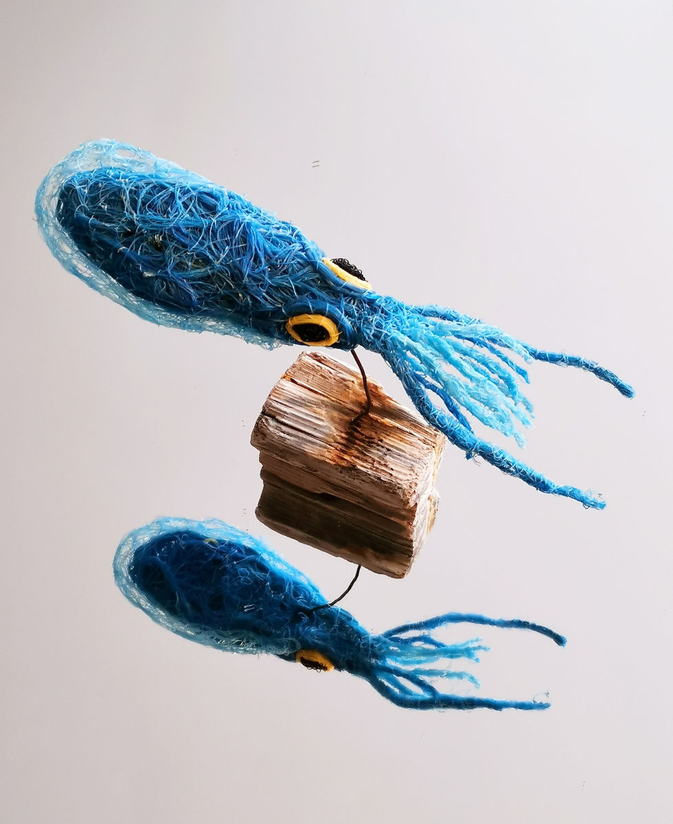 Gentil petit calamar