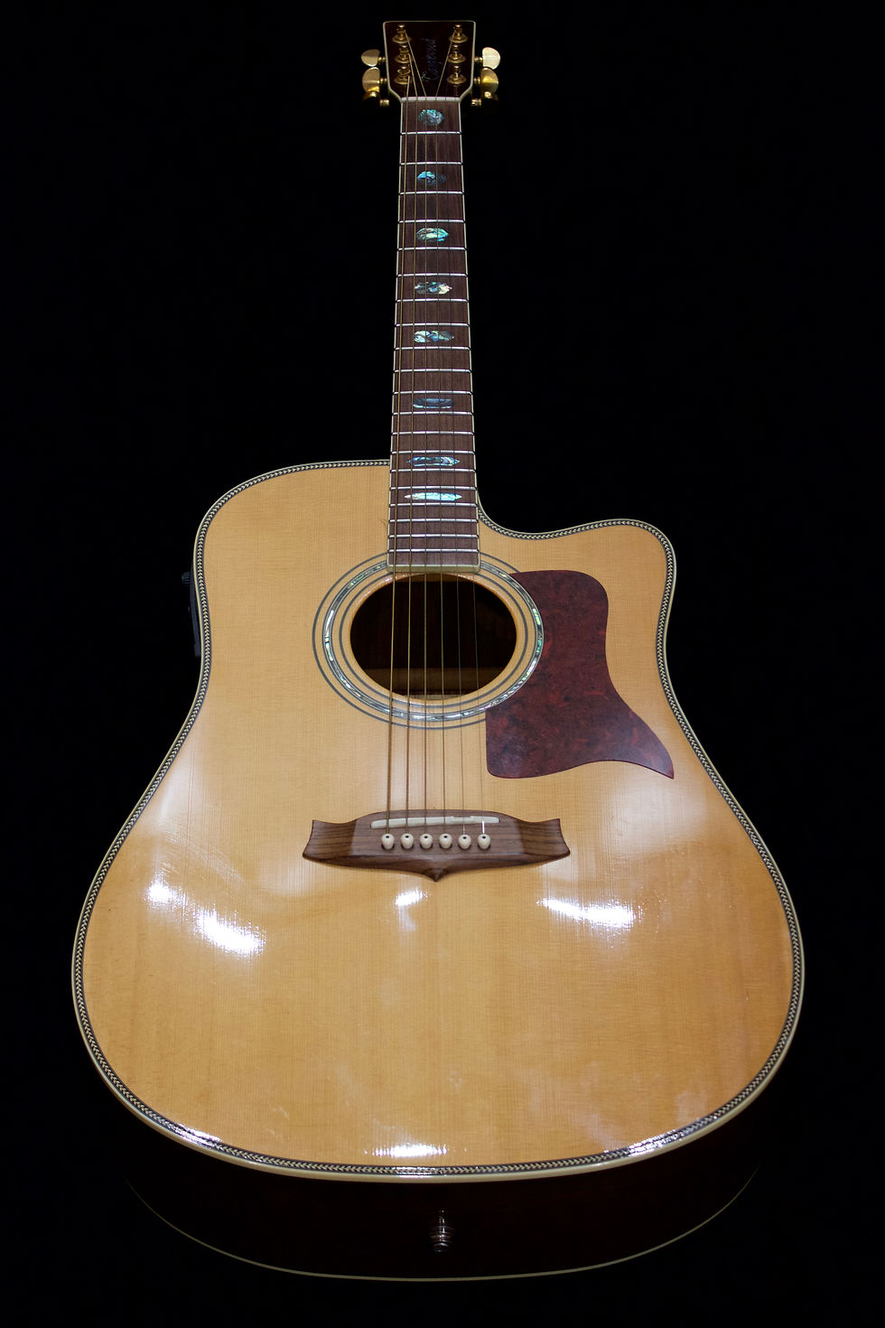 Tanglewood 1000C
