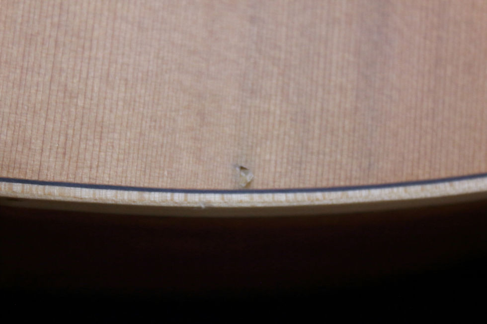 Miniatura: Alhambra Nature Z