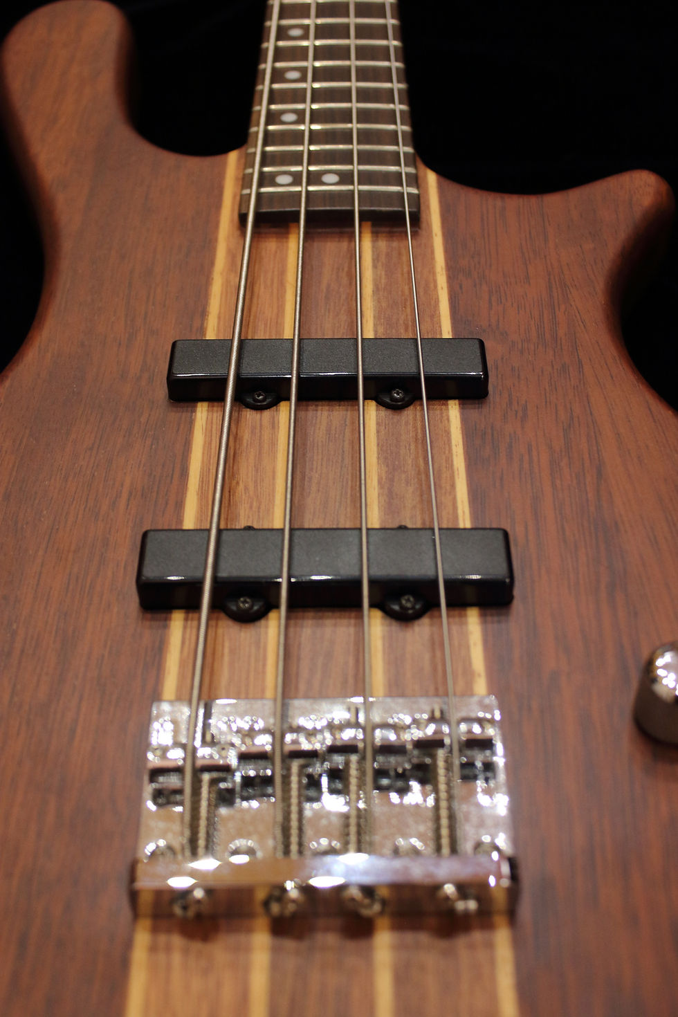 Miniatura: Washburn Taurus T24