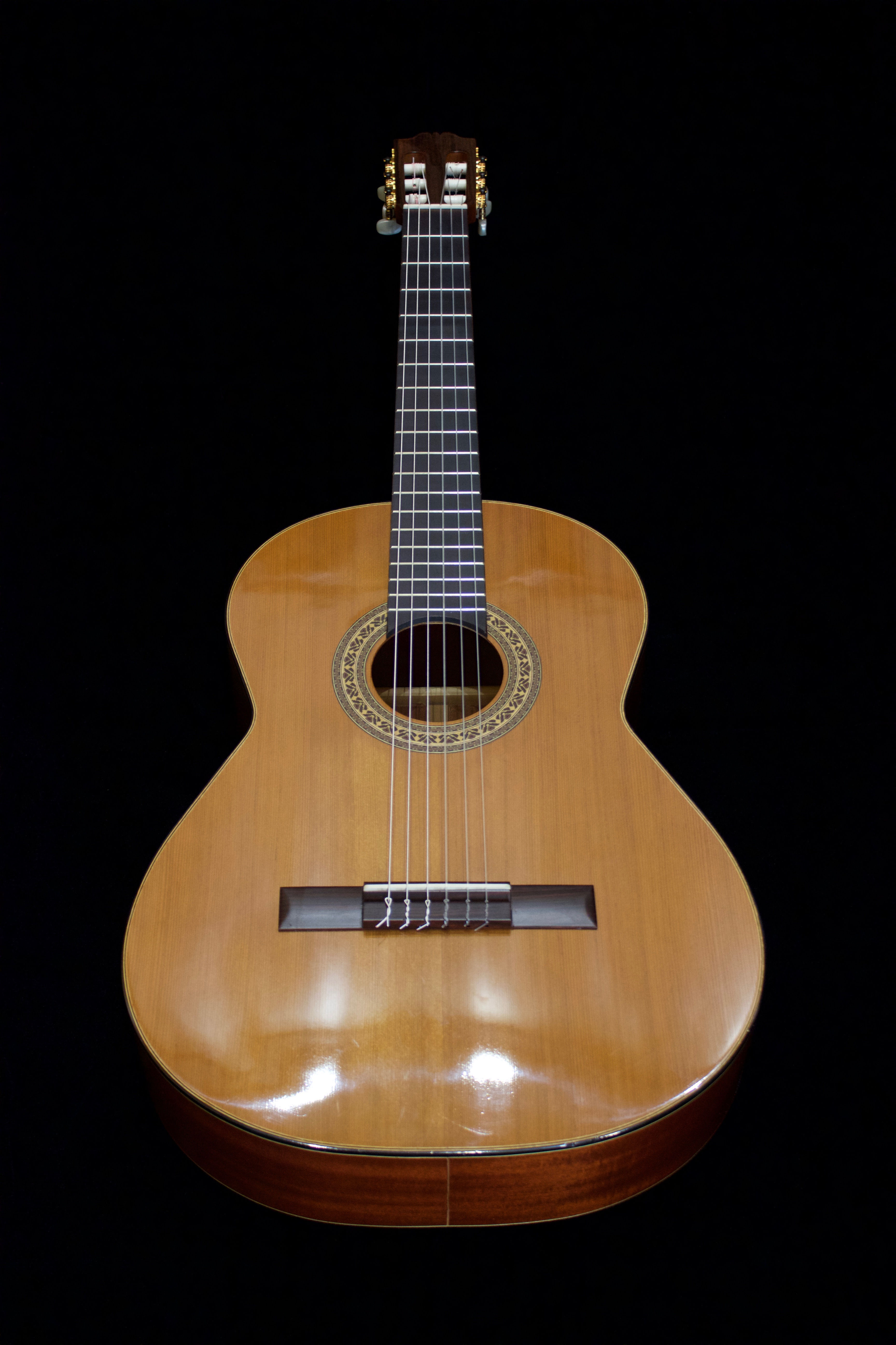 Admira Keller Solista