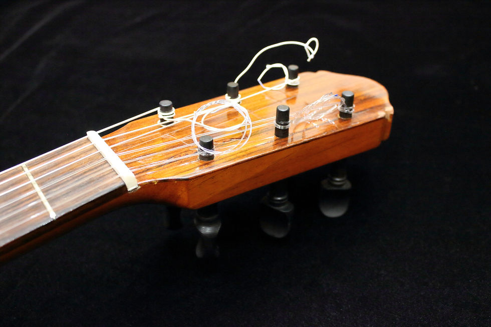 Miniatura: Raimundo 126