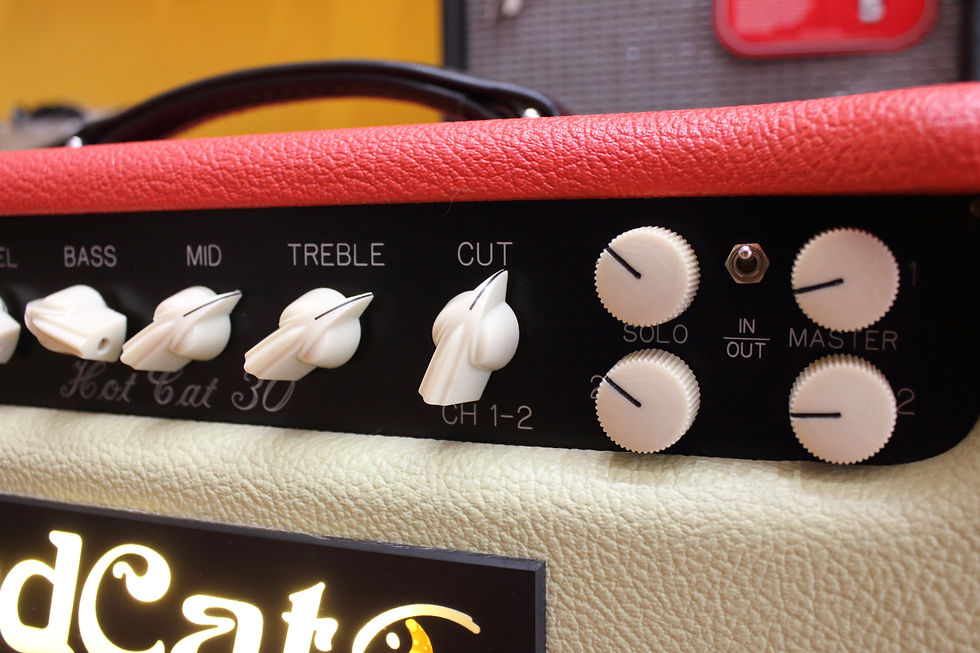 Miniatura: Bad Cat Hot Cat 30 Ltd Red