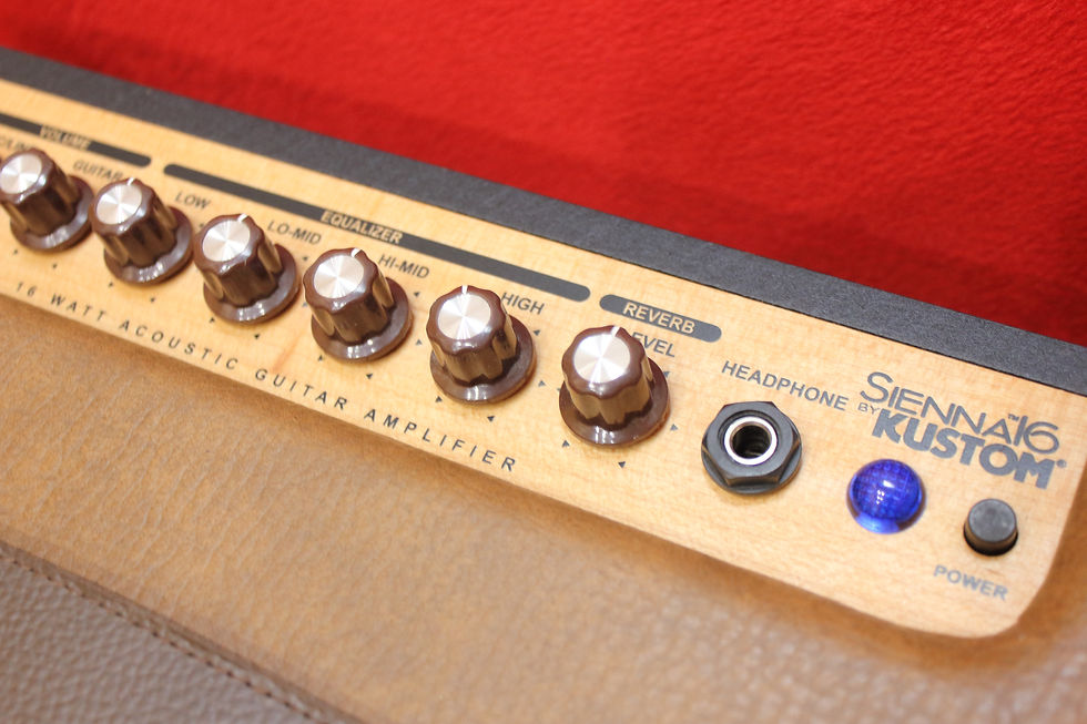 Miniatura: Kustom Sienna 16 Pro