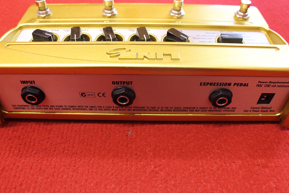 Miniatura: Line 6 DM4