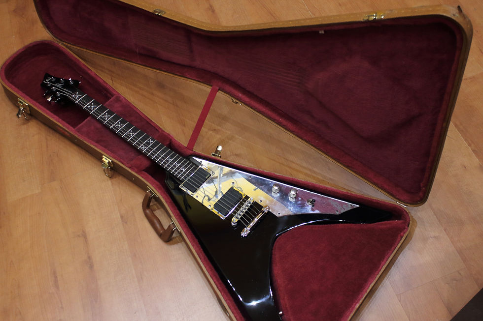 Miniatura: ESP LTD Ninja 600